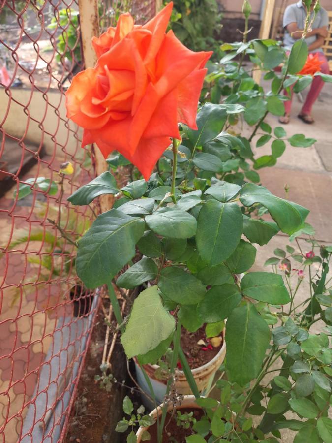 Trimurti Holiday Home Panchgani Zewnętrze zdjęcie