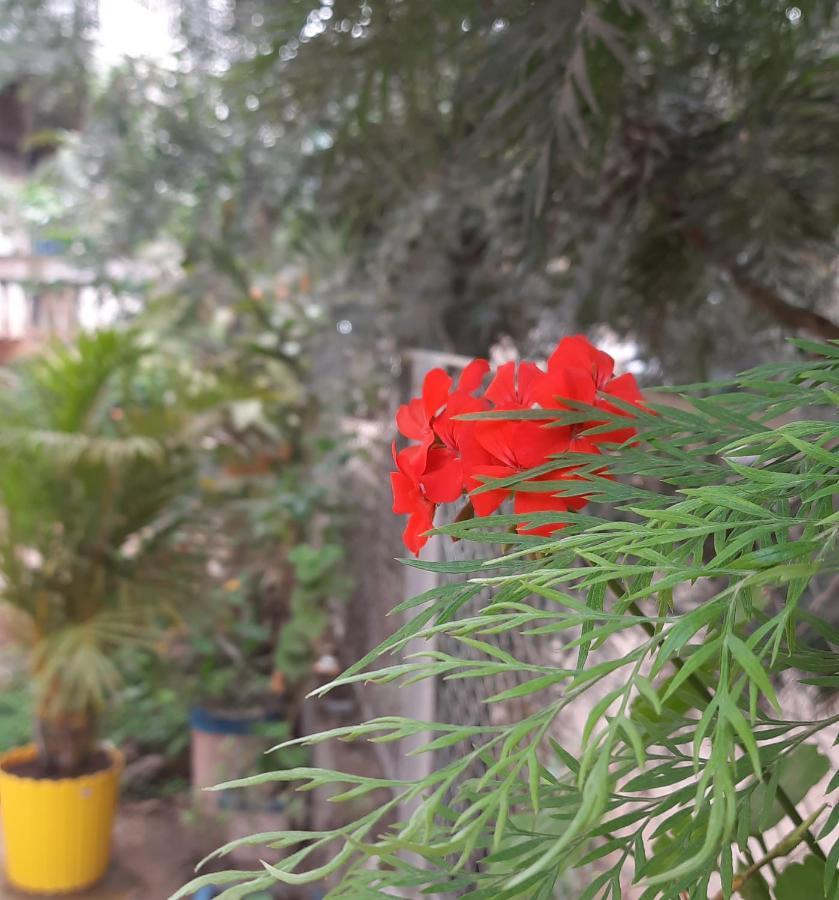 Trimurti Holiday Home Panchgani Zewnętrze zdjęcie