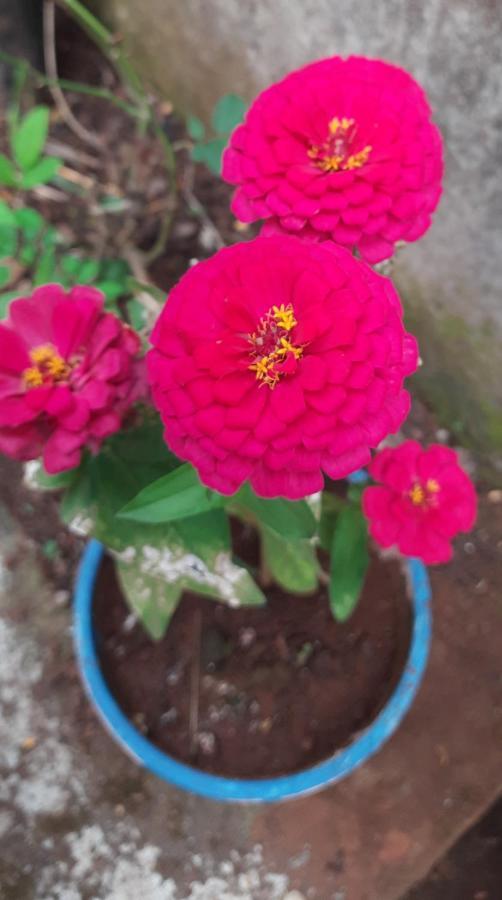 Trimurti Holiday Home Panchgani Zewnętrze zdjęcie