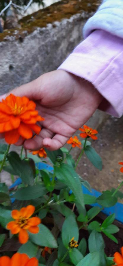 Trimurti Holiday Home Panchgani Zewnętrze zdjęcie