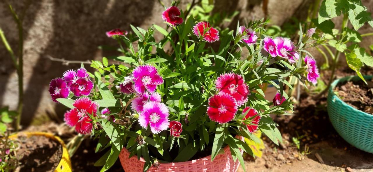 Trimurti Holiday Home Panchgani Zewnętrze zdjęcie