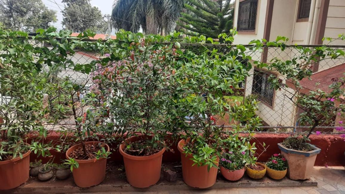 Trimurti Holiday Home Panchgani Zewnętrze zdjęcie