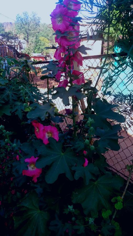Trimurti Holiday Home Panchgani Zewnętrze zdjęcie